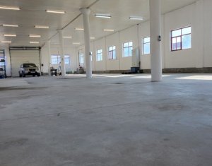 Espace Industriel à louer dans Luna De Sus