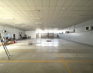 Depozit 600mp 2 rampe + birouri 180mp, 14 parcari, Lidl - Baciu