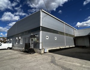 Depozit 600mp 2 rampe + birouri 180mp, 14 parcari, Lidl - Baciu