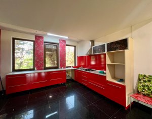 Office for rent in Cluj-napoca, zone Europa