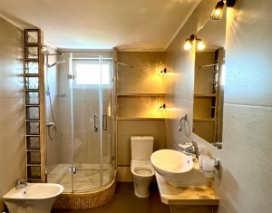 Închiriere penthouse, garaj, 3 locuri de parcare, Zorilor