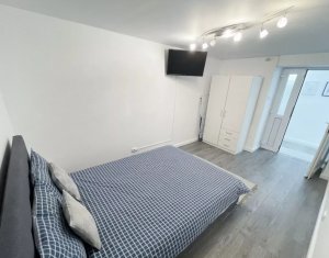 Central, PET FRIENDLY, 2 camere,  Piața Mihai Viteazu 