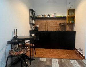 Apartament 2 camere, 2 bai, mobilat, utilat, 55mp, zona Centrala. 