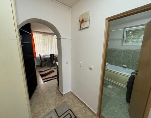 Apartment 1 rooms for rent in Cluj-napoca, zone Buna Ziua