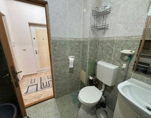 Apartment 1 rooms for rent in Cluj-napoca, zone Buna Ziua