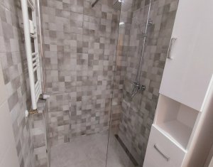 Apartament 1 camera, zona USAMV-PLATINIA